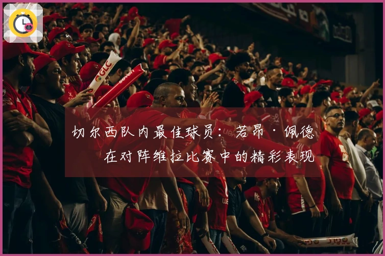 切尔西队内最佳球员：若昂·佩德罗在对阵维拉比赛中的精彩表现