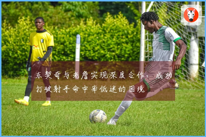 东契奇与老詹实现深度合作，成功打破射手命中率低迷的困境