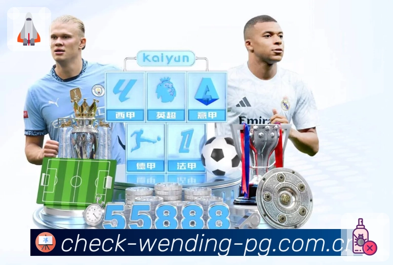 联赛专区 - 五大联赛与杯赛入口